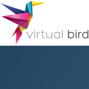 Virtual Bird LLC logo