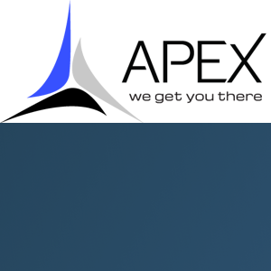 Apex Infotech India Digital Marketing Services logo