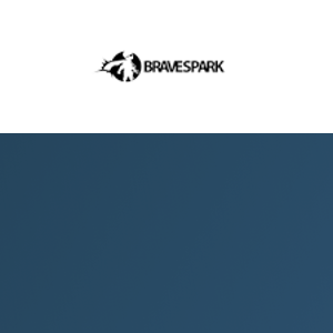Brave Spark logo