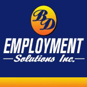 B D Employment Solutions Inc logo