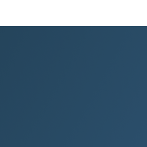 Bari Consulting Group logo