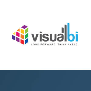 VISUAL BI SOLUTIONS logo