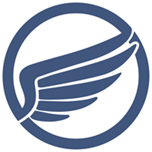 Wingman Web &amp; Design logo