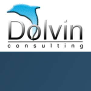 Dolvin Consulting, Inc logo