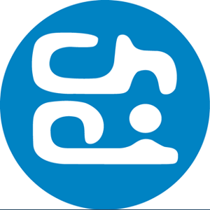 CHOi Design logo