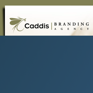Caddis logo