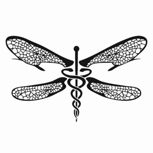Dragonfly Strategy logo