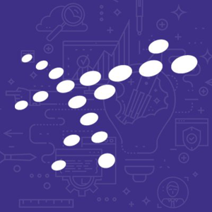 Immense Networks logo