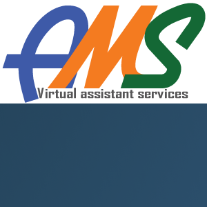 Ams Va Services logo