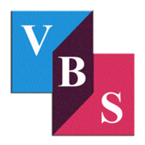 VaiBrotherSoft IT Solution logo