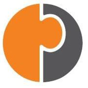 Panaly Consulting logo
