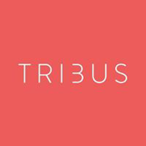 Tribus Digital logo