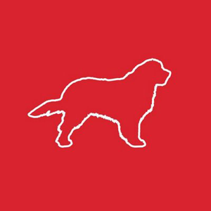 Wild Dog Design logo