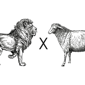 LION X LAMB Interior Design logo