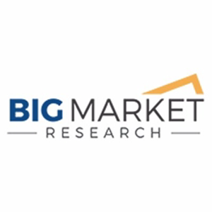 Big Market Research logo