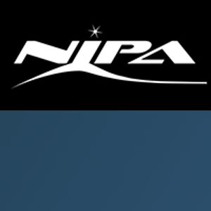 Nipa Pro logo