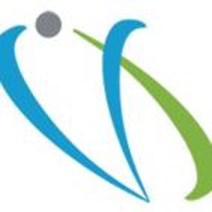 Virtueinfo logo