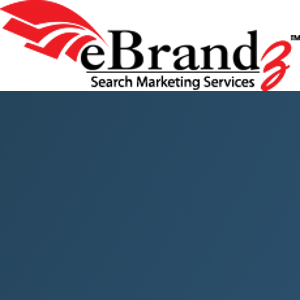 eBrandz Inc. logo