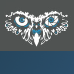 Birds Eye Optics logo