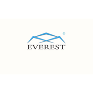 Everest Solutions Inc. logo