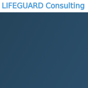 Lifeguard Consulting LLC logo