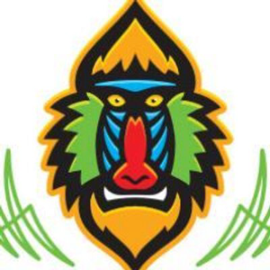 Wildside Creative logo