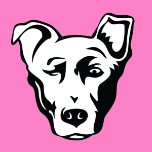 Alpha Media USA logo