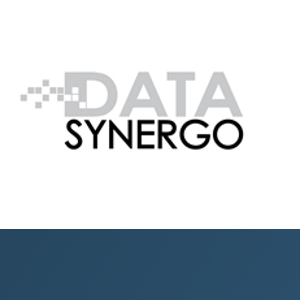 Data Synergo Sdn Bhd logo