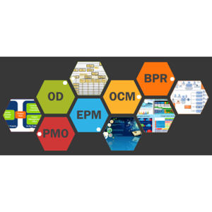 Al Maha Consulting Ltd. logo