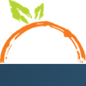 Downey Tax Company logo