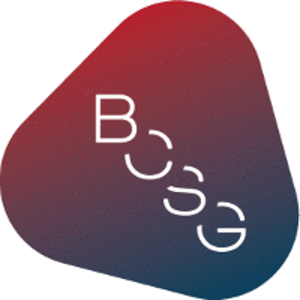 Blueprint Consulting Services Group logo