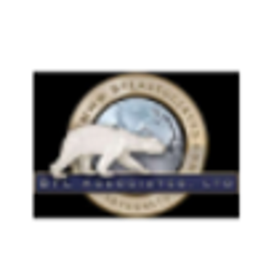 BFL Associates, Ltd. logo