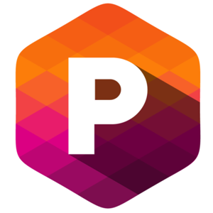 Perfect Pixel Marketing LLC logo