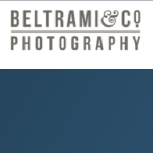 Beltrami Studios logo