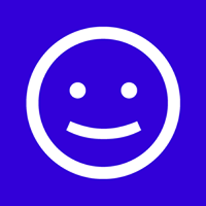 a verynice design studio logo