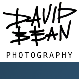 David Bean Photography logo