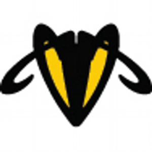 WebHornet logo