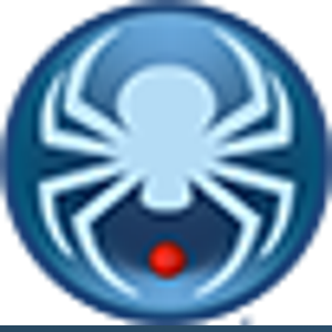 Clever Spider Consulting Group logo