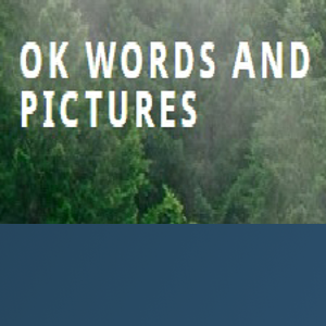 OK Words and Pictures logo
