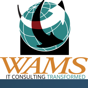 WAMS, Inc. logo