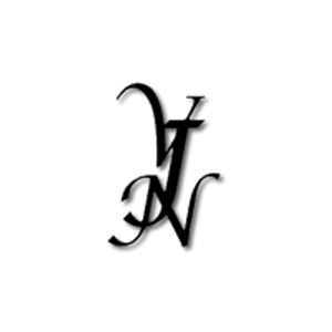 VJN &amp; Associates logo