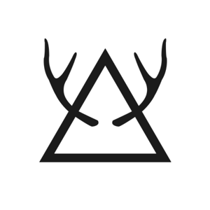 ANTLR Interactive logo