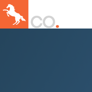 A Logo Co. logo
