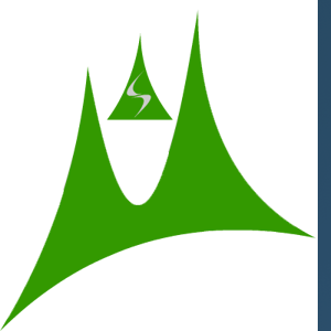 Maskey Consultancy Services logo