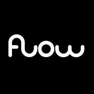 Flow Studio logo