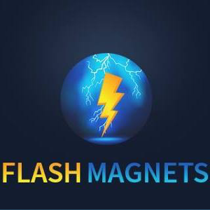 Flash Magnets LLC logo