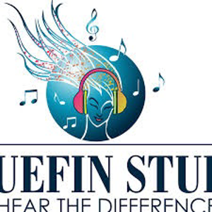 Bluefin Studio Real Estate Commercial Photography logo