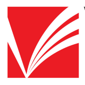 Velan Info Services logo