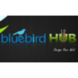 Bluebird Hub Pte Ltd logo