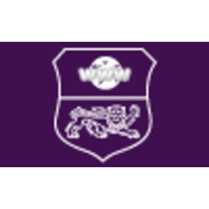 NHP IT Solutions logo
